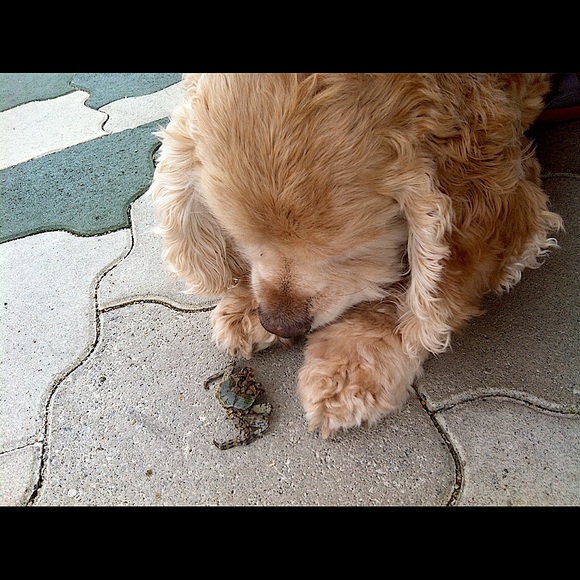 Meet your Posher, Eve - Picture 6 of 14